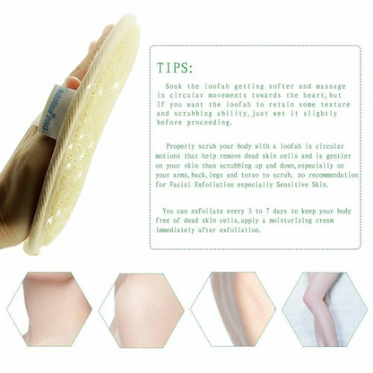 Natural Loofah Exfoliating Sponge – 100% Organic Body Scrubber for Deep Cleansing & Smooth Skin